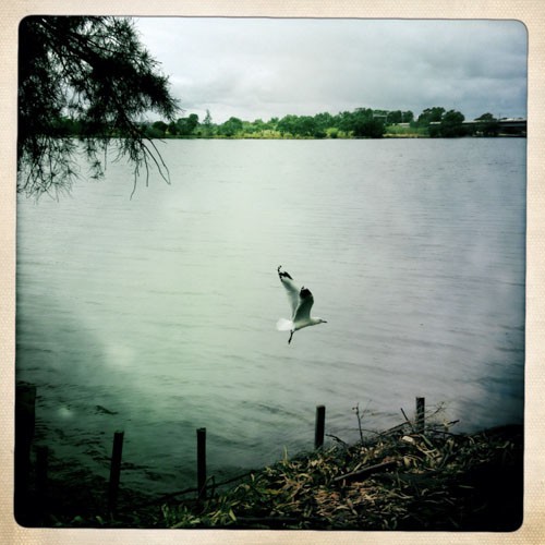 http://www.charleskasprzak.com/files/gimgs/th-22_Charles_Kasprzak_PCP_Hipstamatic_Swan_River-12_v2.jpg